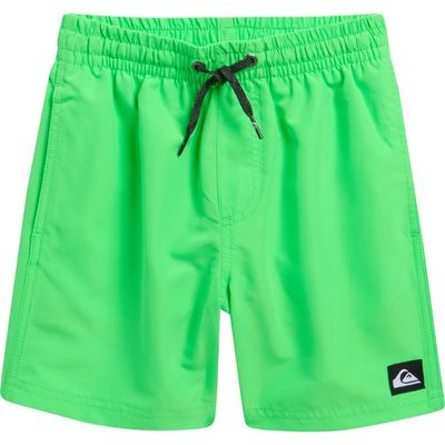 Quiksilver Quiksilver Kids' Everyday Volley Swim Trunks
