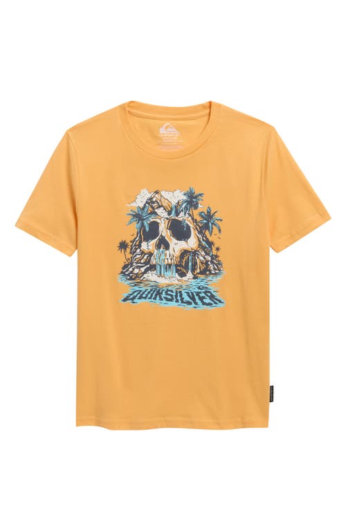 Quiksilver Quiksilver Kids' Island Paradise Cotton Graphic T-Shirt
