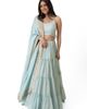 RAAS RAAS Elvia Tiered Lehenga Choli Set - 5