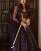 RAAS RAAS Jaden Sequins Embroidered Lehenga Choli - 2