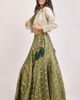 RAAS RAAS Zele Banarasi Lehenga Choli With Jacket - 2