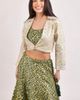 RAAS RAAS Zele Banarasi Lehenga Choli With Jacket - 4