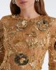 Rachel Gilbert Rachel Gilbert Pierre embellished floral-appliqué gown - 3