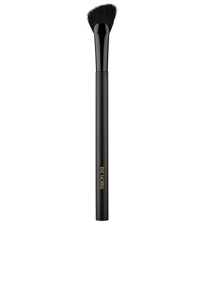 Rae Morris Rae Morris Fan Highlighter Brush