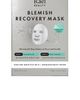 Rael Rael Microcrystal Blemish Recovery Mask 4 Count. - 2
