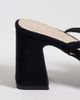 Raid RAID Zaylee faux suede block heel shoes with pointed toe in black - 4
