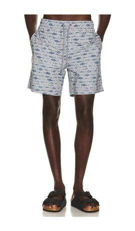 Rails Rails Dane Swim Trunks