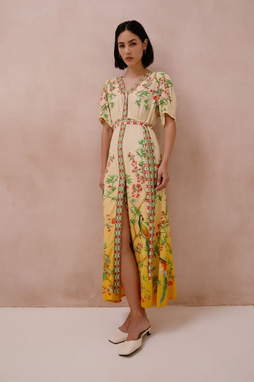 RAISHMA RAISHMA Ivanna Dress
