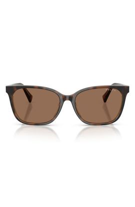 RALPH RALPH 56mm Gradient Square Sunglasses