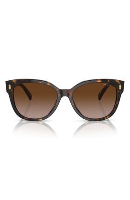 RALPH RALPH RA5305U 56mm Gradient Cat Eye Sunglasses