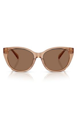 RALPH RALPH RA5324U 56mm Cat Eye Sunglasses