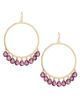 Ramy Brook Women's Shani Goldtone & Glass Crystal Hoop Drop Earrings - 4