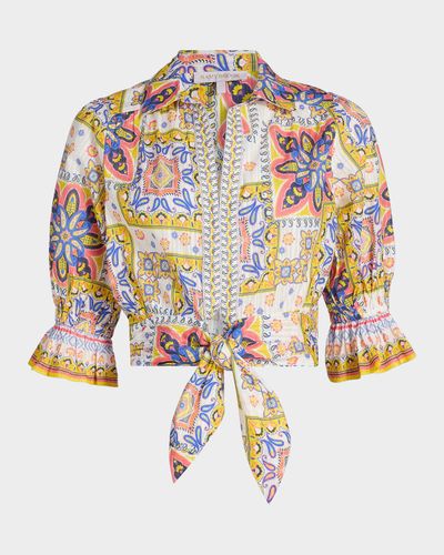 Ramy Brook Zola Printed Cotton Crop Top