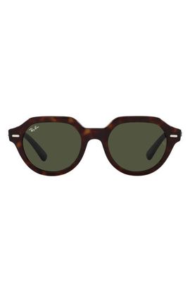 Ray-Ban Ray-Ban Gina 53mm Square Sunglasses