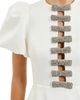 Rebecca Vallance Women's Blaise Embellished-Bow Puff-Sleeve Minidress - 6