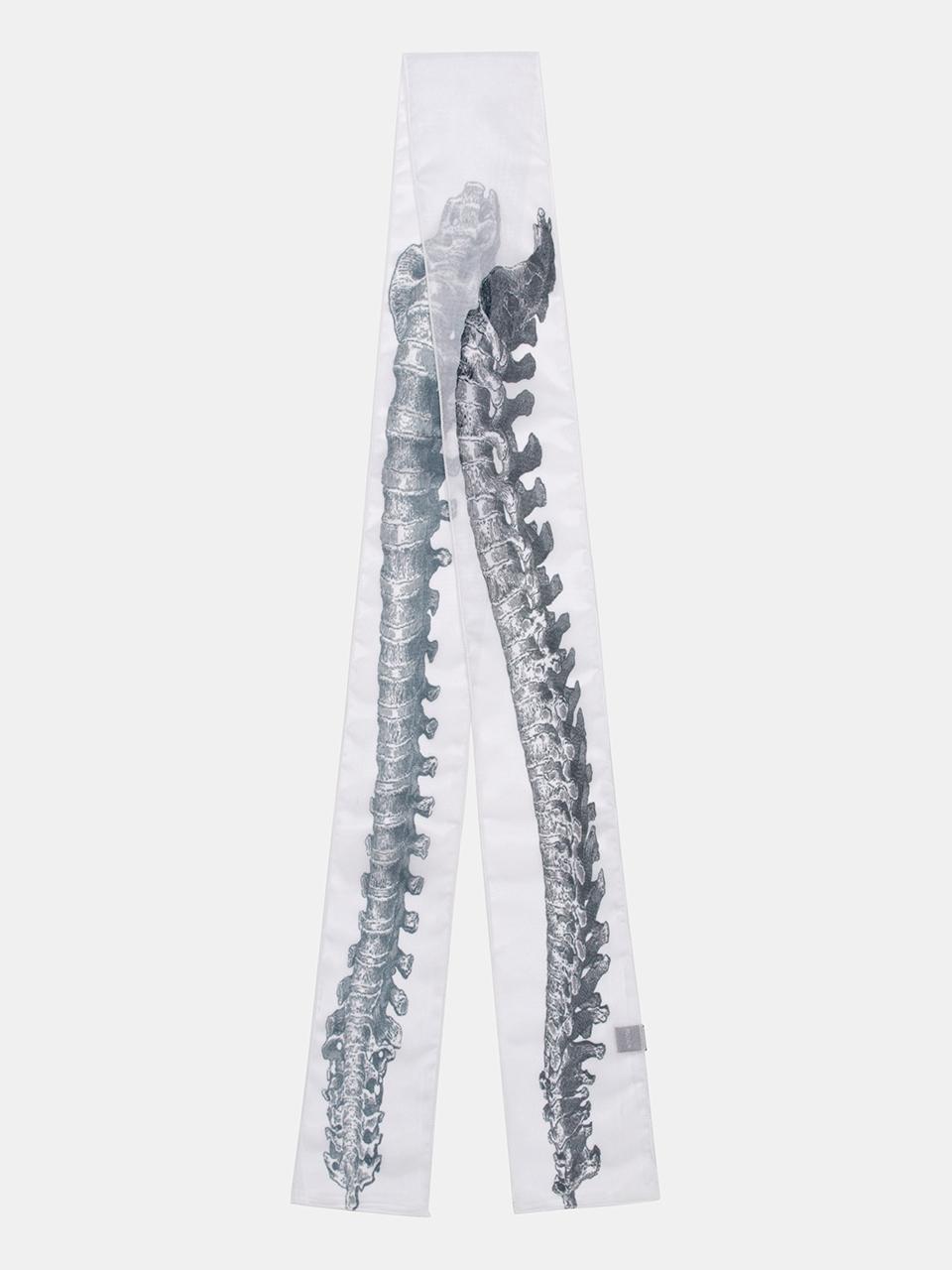 RECLOW Long Chiffon Mesh Skeleton Scarf