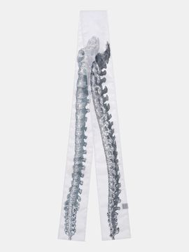 RECLOW Long Chiffon Mesh Skeleton Scarf