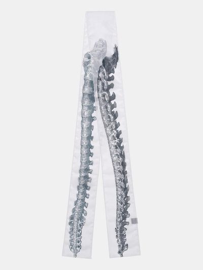 RECLOW Long Chiffon Mesh Skeleton Scarf