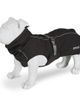 Regatta Regatta Softshell Dog Coat - 2