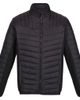 Regatta Regatta Tourer Hybrid Padded Jacket - 1