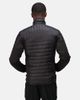 Regatta Regatta Tourer Hybrid Padded Jacket - 4