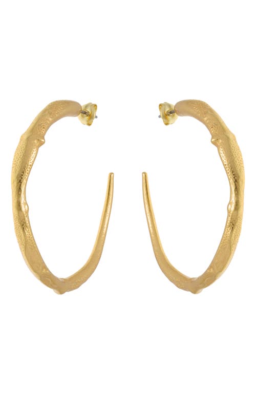 Reiss Reiss Molly Molten Hoop Earrings