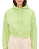 Renggli Renggli Renggli Hoodie Lime - 1