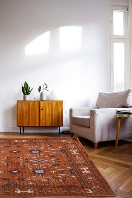 Revival Revival River Slim Washable Rug in Rust at Urban Outfitters