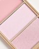 Revolution Revolution Highlight Icon Palette in Pink Posse - 2