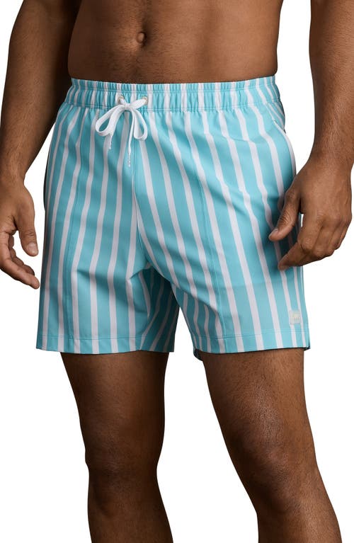 Rhone Rhone R and R Wide Stripe Swim Trunks