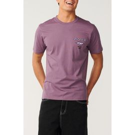 Rip Curl Rip Curl Fade Out Icon Cotton Graphic T-Shirt