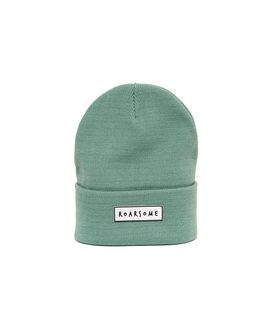 Roarsome Roarsome Kids Knit Unisex Beanies