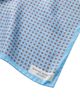 Robert Talbott Robert Talbott Colton Reversible Neat/Pocket Square - 2