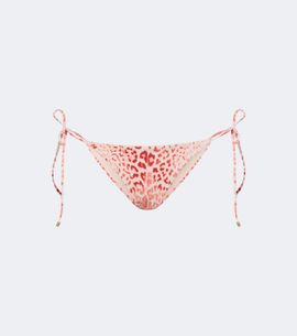 Roberto Cavalli Roberto Cavalli Leopard-print bikini bottoms