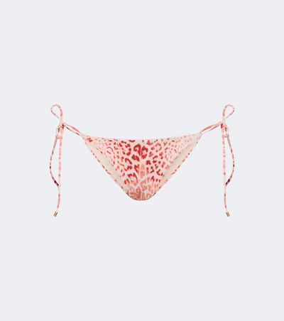 Roberto Cavalli Roberto Cavalli Leopard-print bikini bottoms