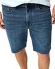 Rodd & Gunn Rodd & Gunn Hadlow Cotton Blend 9 Whiskered Shorts - 4