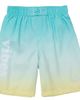Rokka&Rolla Rokka&Rolla Swim Trunks with Mesh Lining UPF 50+ - 1
