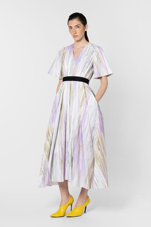 Roksanda Roksanda Sana Printed V-Neck Midi Dress