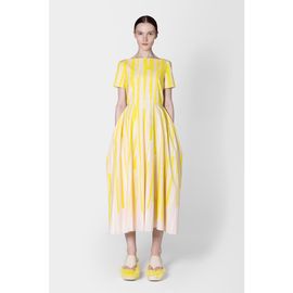 Roksanda Roksanda Vaela Stripe Cotton Midi Dress