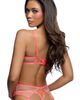 Roma Confidential Roma Confidential Wild Fire Underwire Bra, Garter Belt & Thong Set - 2