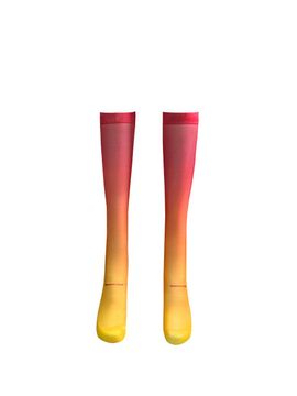 Romantic tiger Sour Knee Stockings [PURPLE]
