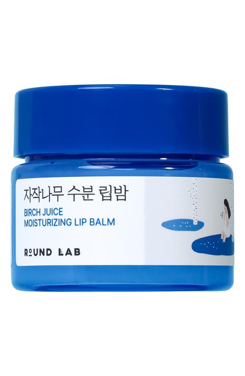 ROUND LAB ROUND LAB Birch Moisturizing Lip Balm 