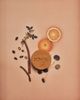 ROWSE ROWSE Centella Asiatica & Orange Face Cleanser - 4