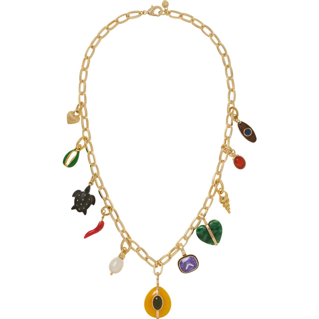 ROXANNE ASSOULIN ROXANNE ASSOULIN The Multicharm Chain Necklace 