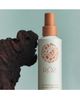 Roz Hair Roz Hair Air Thickening Spray - 6