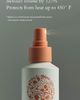 ROZ ROZ Air Thickening Spray - 4