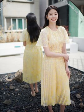 S BLANC Reighlee See-through Pleated Dress