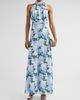 SACHIN BABI Women's Diana Chiffon Floral Gown - 2