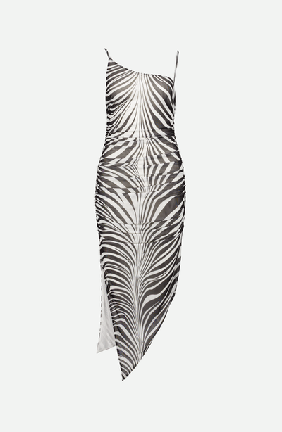 SAEMDI SAEMDI Zuri Zebra Mesh Dress 