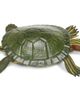 Safari Ltd. Safari Ltd. Red-Eared Slider Turtle Toy  - 1